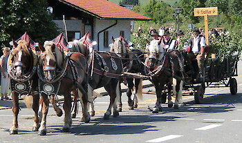 Pferdeliebhaber kommen wieder auf Ihre Kosten beim Kötztinger Rosstag